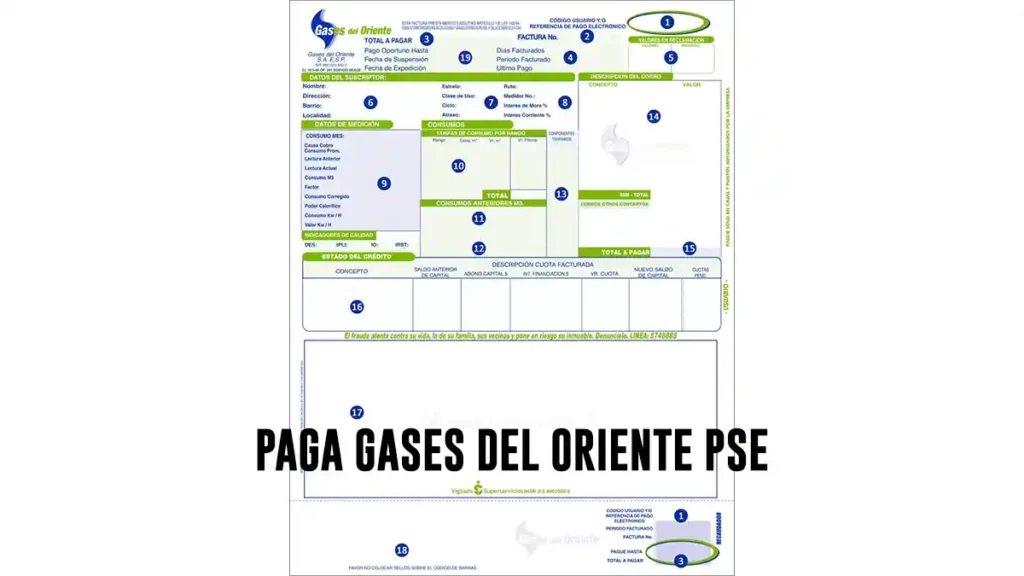 Gases del Oriente PSE